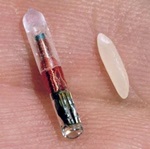 Photograph of a RFID microchip