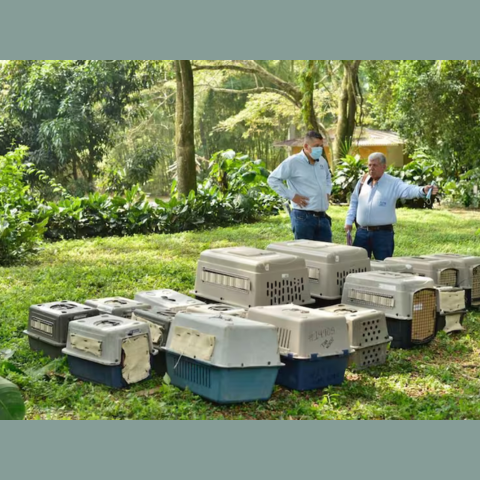 two men standing next to kennels housing night monkeys after confiscation 